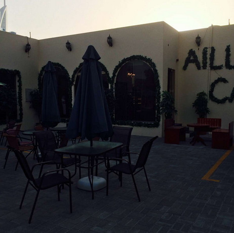 مقهى أيلورومنيا ... أول مقهى قطط في دبي والشرق الأوسط