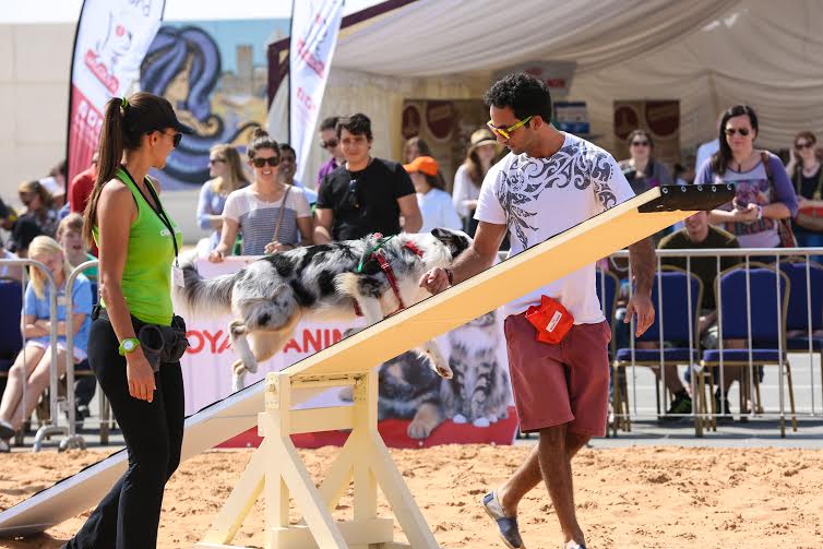 أبوظبي تستضيف مهرجان الحيوانات الأليفة الرابع 2016