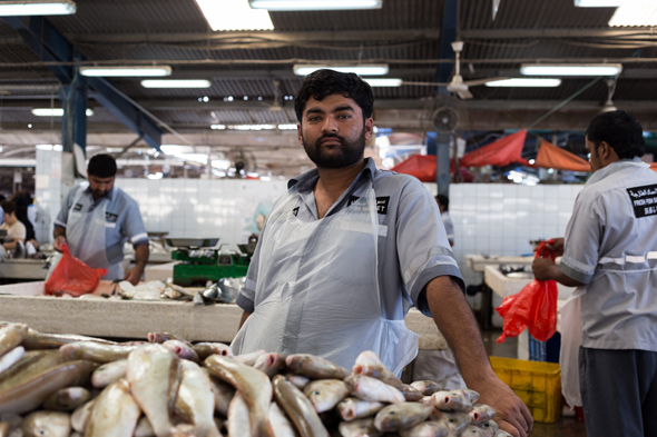 بالصور | الروعة والجمال في سوق السمك ديرة بدبي
