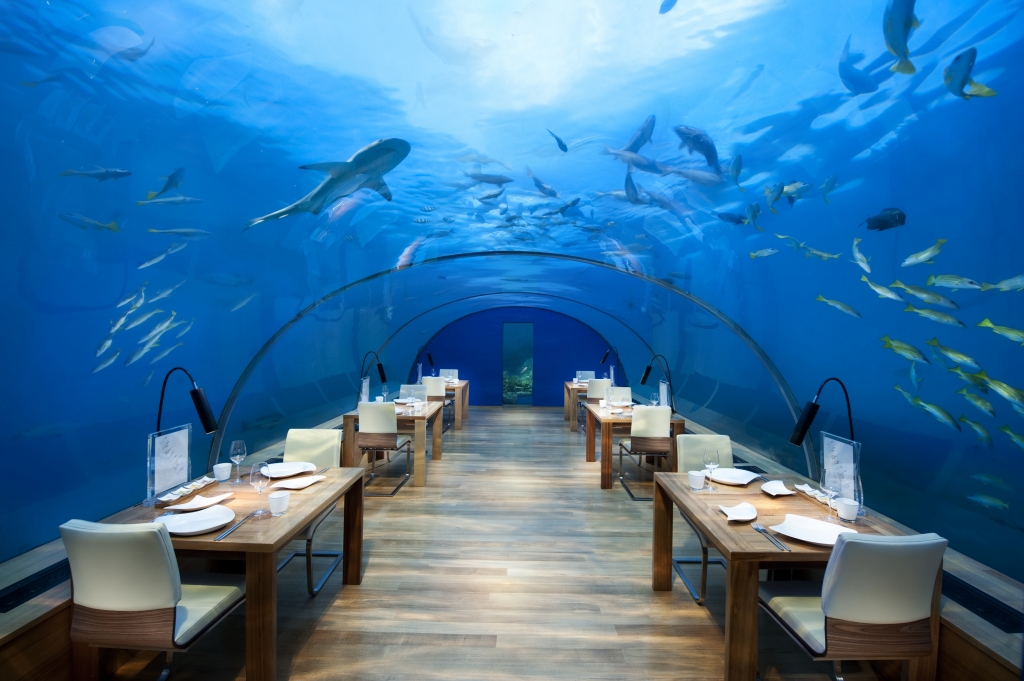 Conrad Maldives_Ithaa Undersea Restaurant