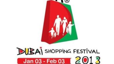 DSF 2013 logo