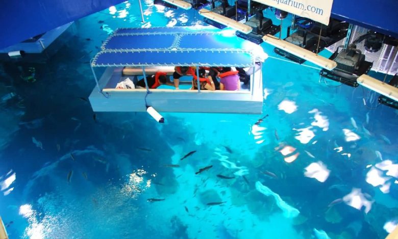 Visitors enjoy Glass Bottom Boat rides at Dubai Aquarium Underwater Zoo