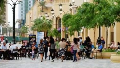 مطعم أثينا للمأكولات العالمية – دبي مارينا
