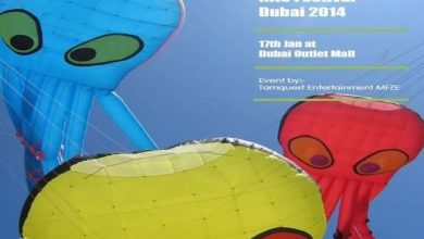 20131114_3rd-International-Kite-Festival