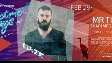 ELECTRIC_DAYS_SHADI_MEGALLAA_2014_feb_28_Tamanya_Terrace_17164-full
