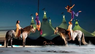 Cavalia