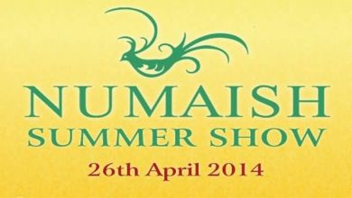 20140209_Numaish-Summer-Show