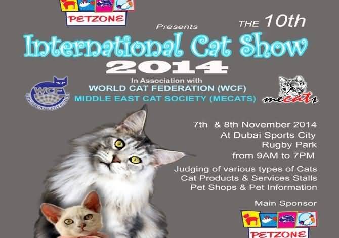 20141026_10th International Cat Festival