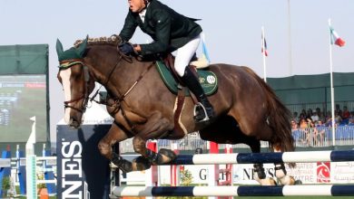 SPO_120107_SHOW_JUMPING 1 1024×773