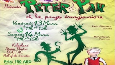 20150303_Peter-Pan-et-le-Pays-Imaginaire