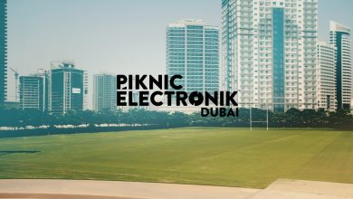 PiknicElectronik-DSC.1