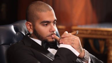 حفل مغني الراب العالمي تيماتي في دبي خلال سنة 2015
