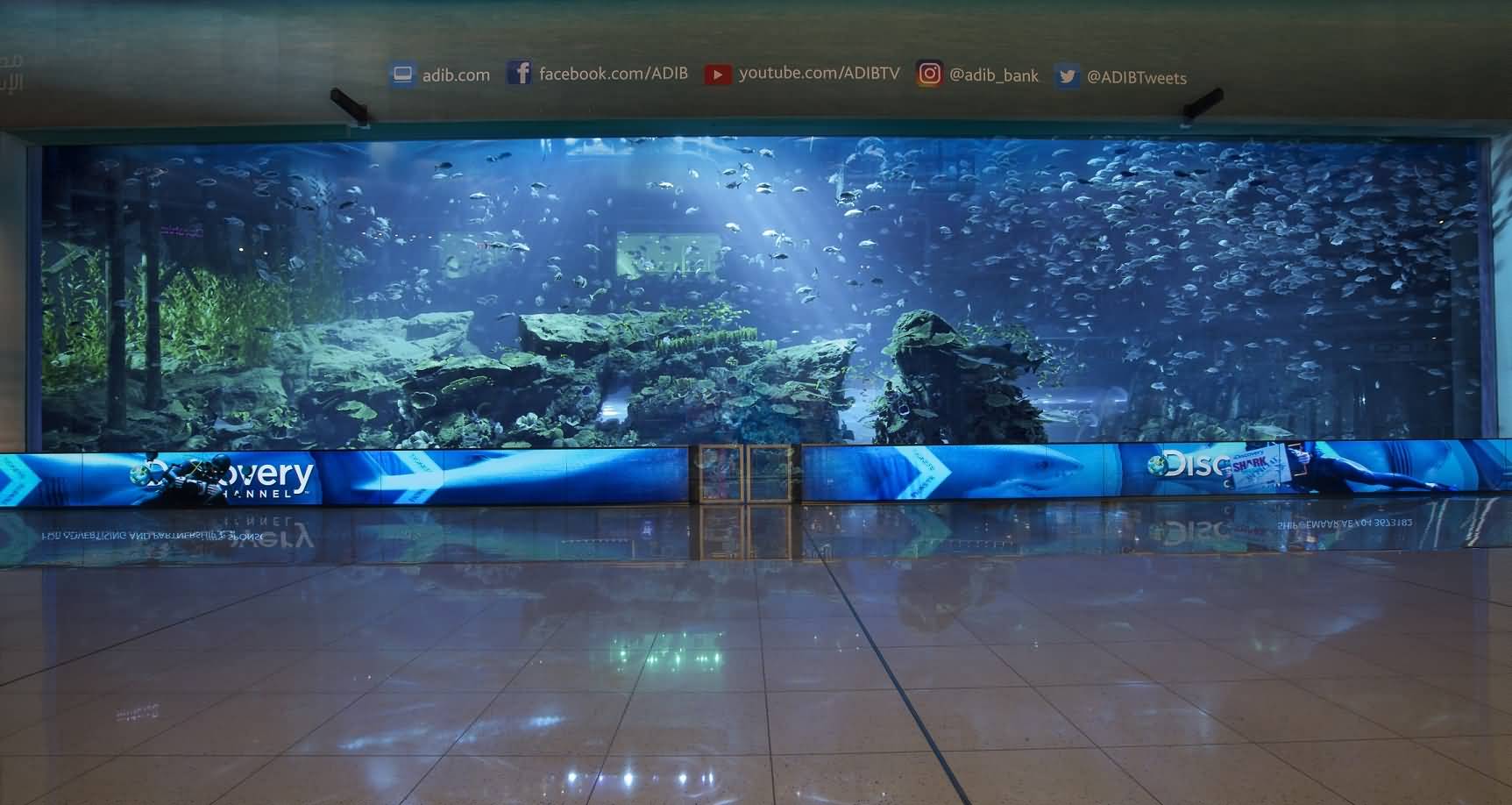 80m-led-screens-at-dubai-aquarium-underwater-zoo
