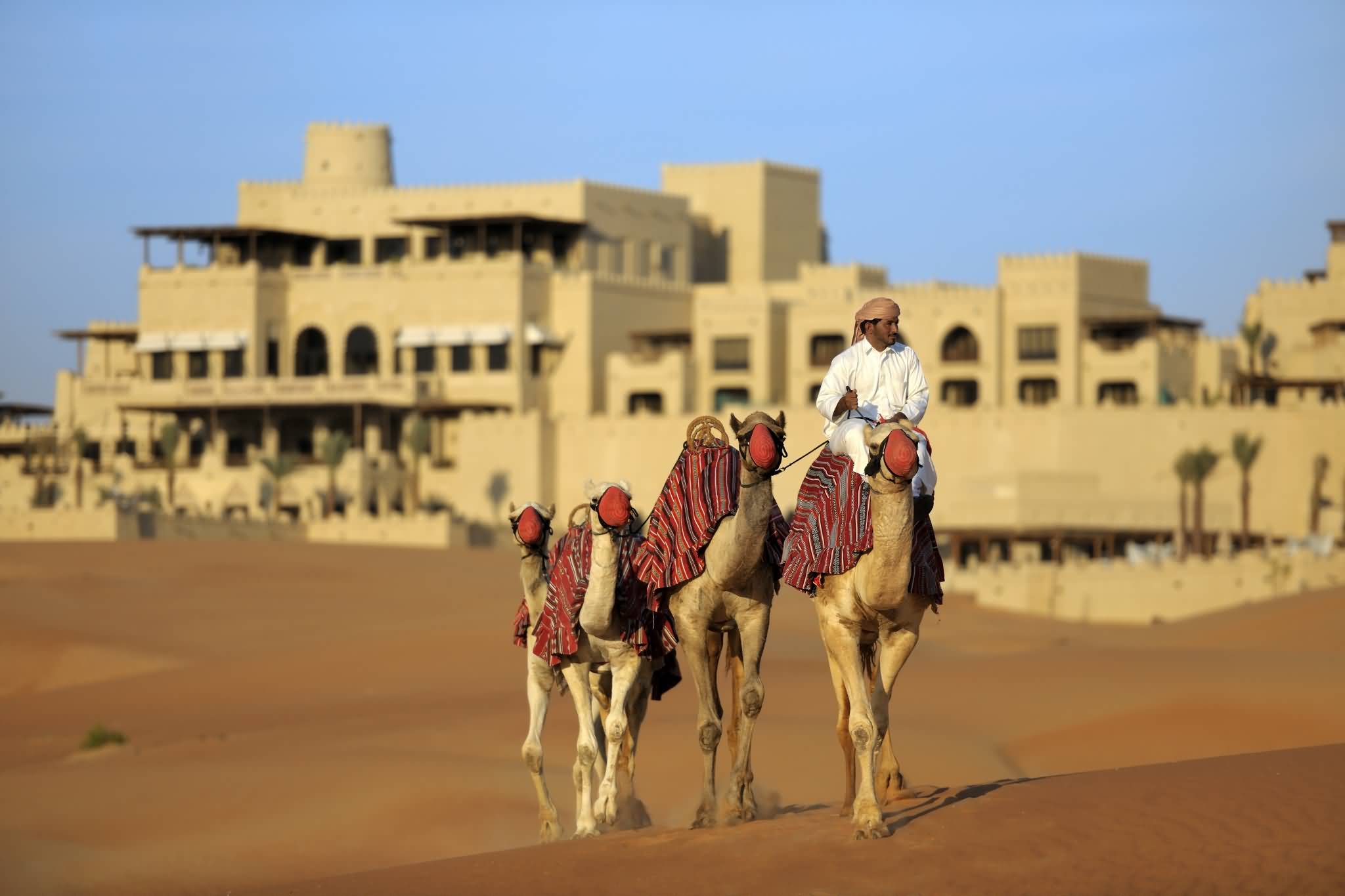 qasr-al-sarab-camel_trekking