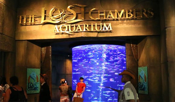 The_Lost_Chamber_Aquarium