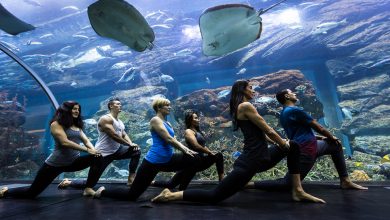 Underwater Yoga at Dubai Aquarium&Underwater Zoo