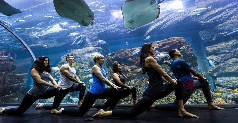 Underwater Yoga at Dubai Aquarium&Underwater Zoo