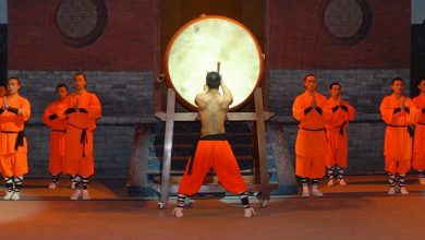 استعراض كونج فو shaolin warriors