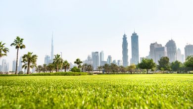 أين تذهب للتنزه خلال فصل الشتاء في دبي ؟