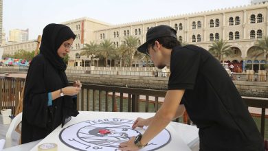 مهرجان انعكاس في القصباء