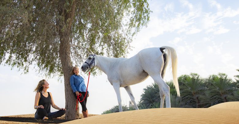 عرض اليوجا والاسترخاء من منتجع باب الشمس الصحراوي