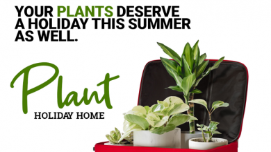 خدمة منزل عطلة النباتات