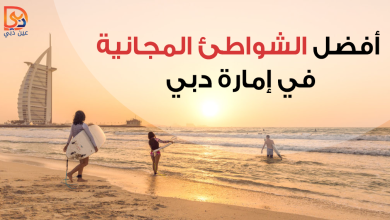 الشواطئ المجانية في إمارة دبي