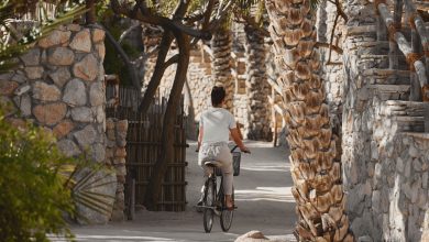 Bicycle_Rides_Around_the_Resort_[9907-ORIGINAL]
