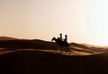 جزيرة صير بني ياس
