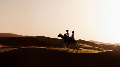 جزيرة صير بني ياس