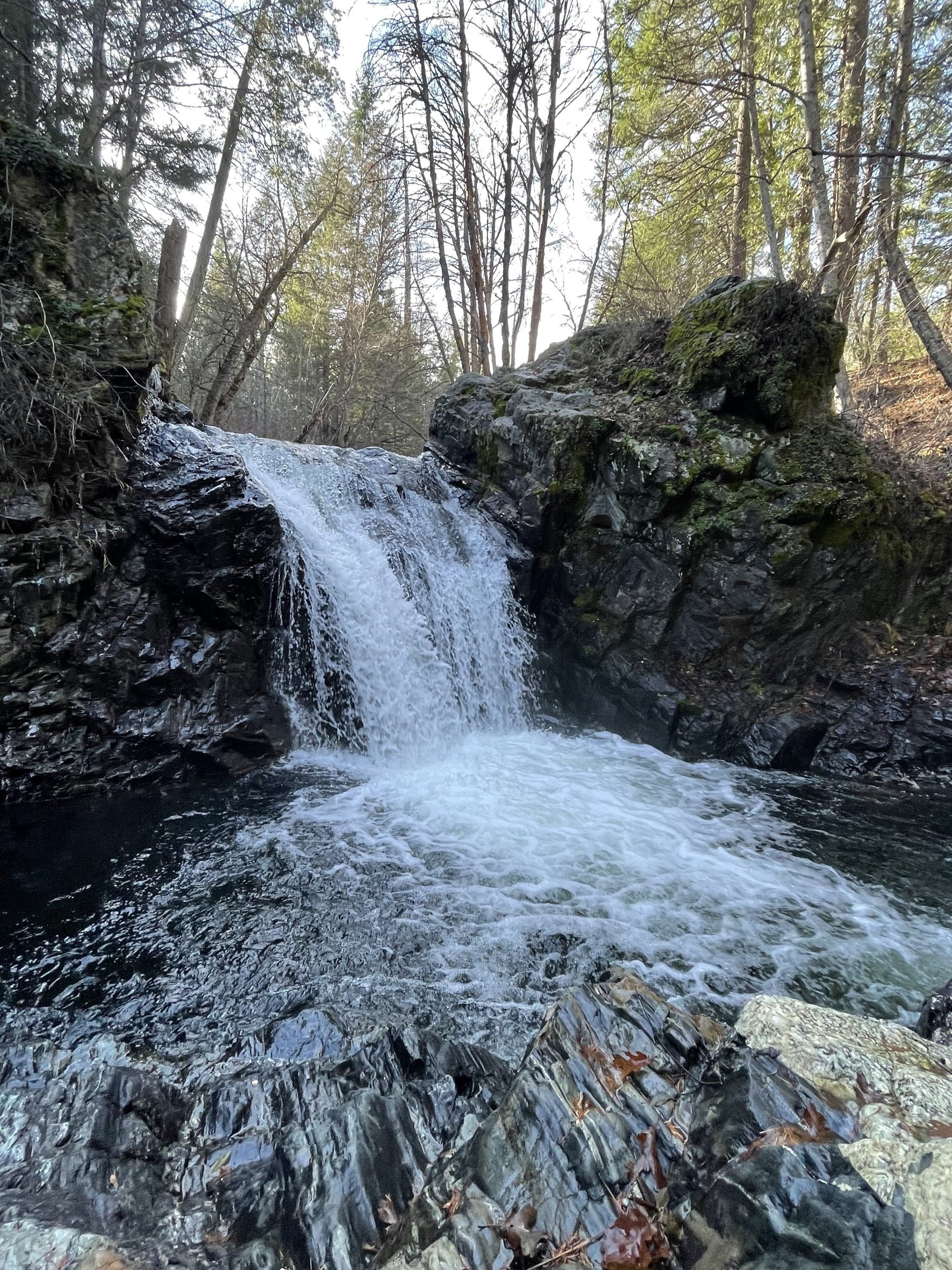 شلالات شاكلفورد (Shackleford Falls)