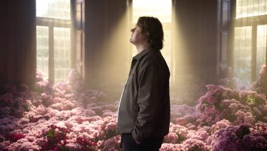 Lewis Capaldi_image