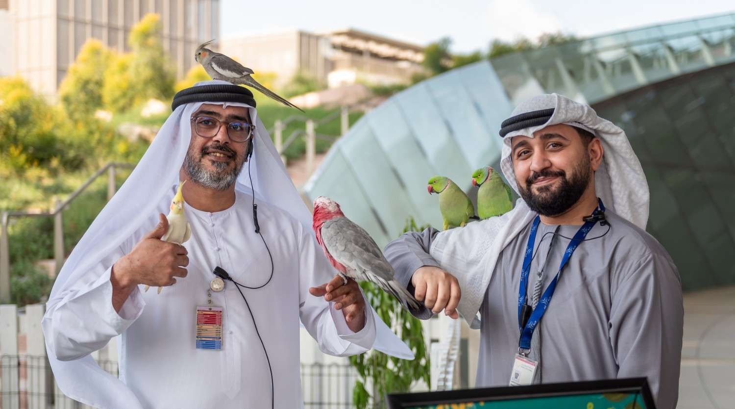 مهرجان الماعز 2025