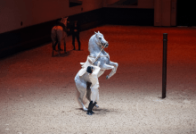 Abu Dhabi Royal Equestrian Arts 1