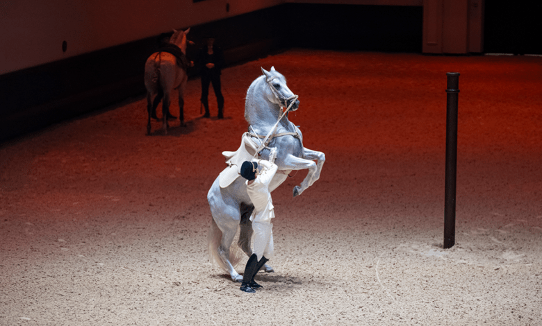 Abu Dhabi Royal Equestrian Arts 1