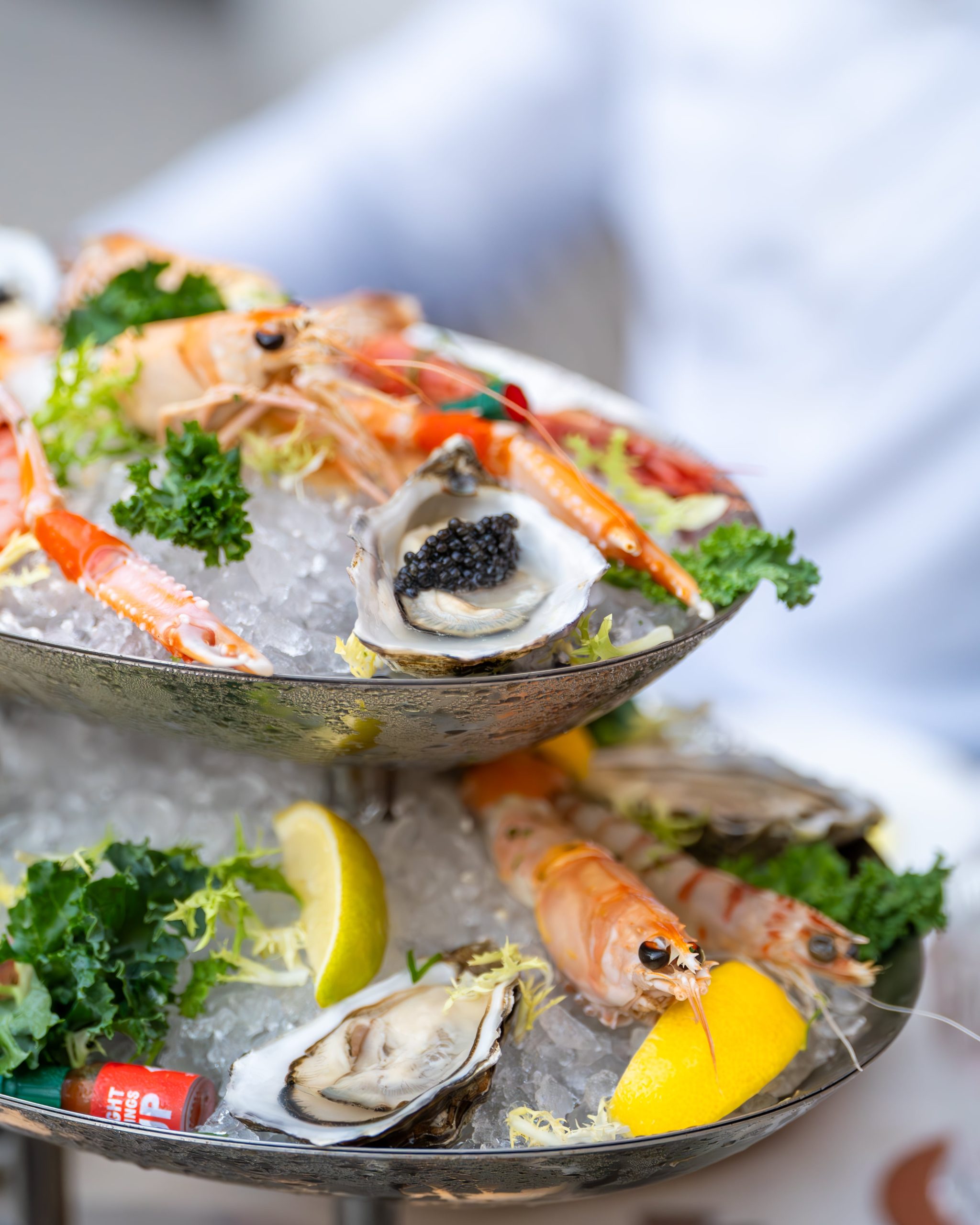 برانش فيراغوستو