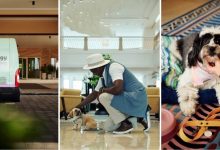 سوفيتل شاطئ الحمرا