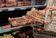 خطة الأحد لتحضير أسبوع كامل