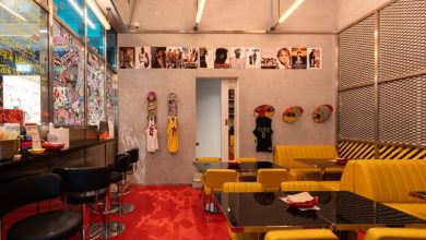 إرغون أغورا