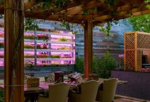 جميرا زعبيل سراي