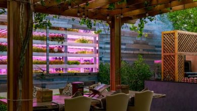 جميرا زعبيل سراي