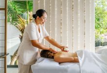 شيڤال بلان السيشيل