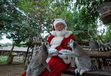 Dubai Safari Park announces first-ever Festive Village experience (2)