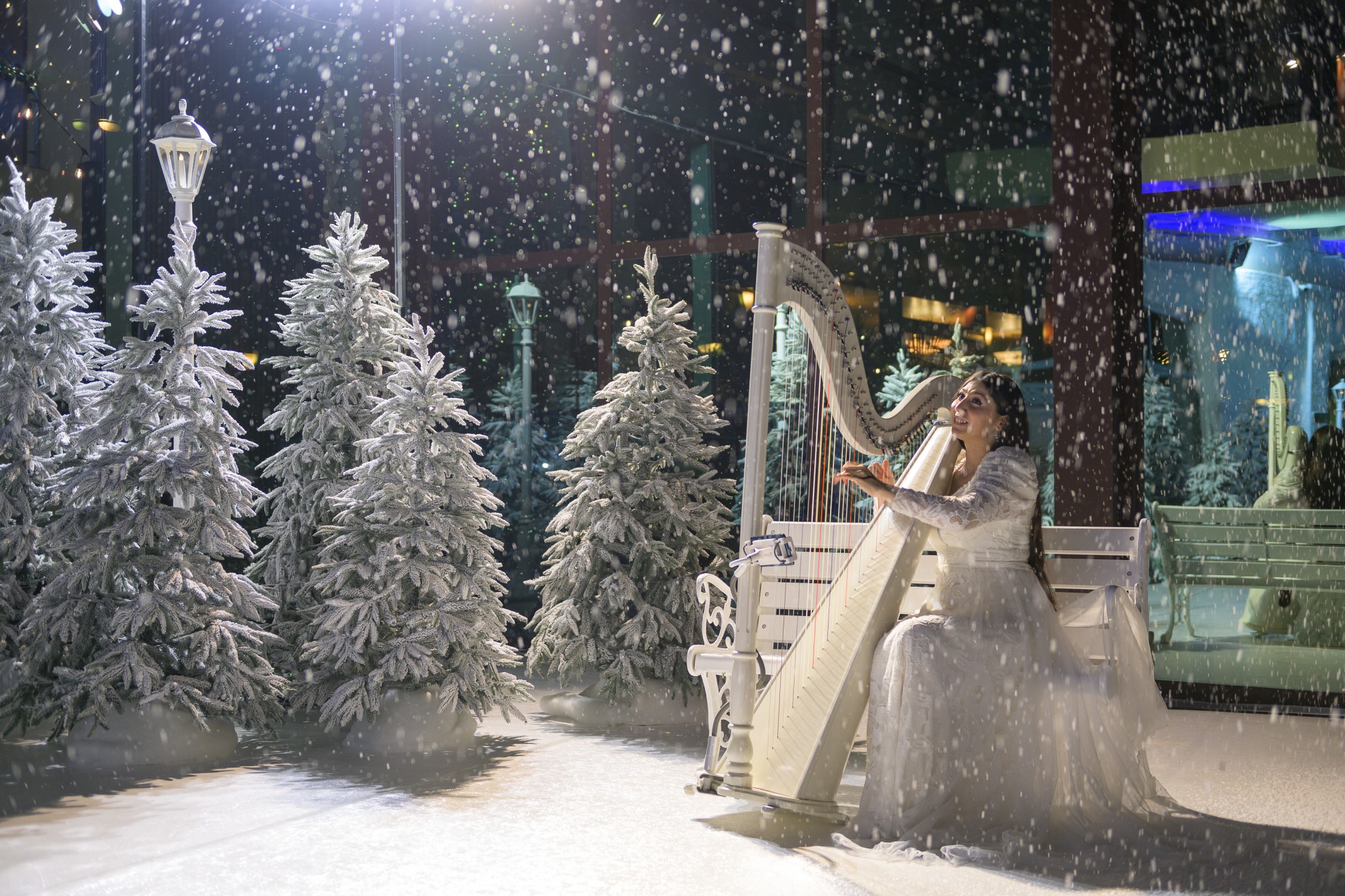 ريكسوس النخلة دبي