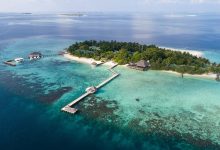 100media–v18111368