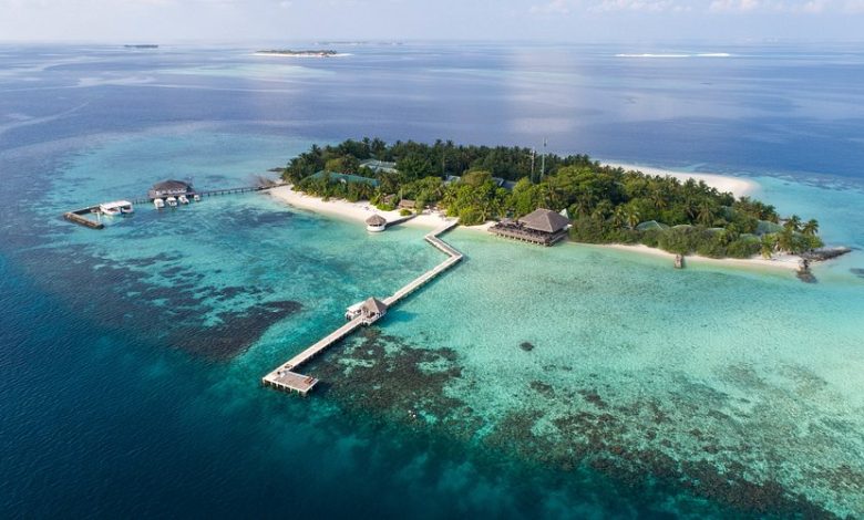 100media–v18111368