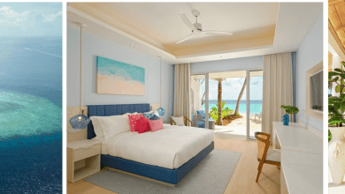 73bf3859-f092-492a-8a25-50f183a06425