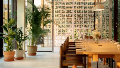 ميليا ديزرت بالم