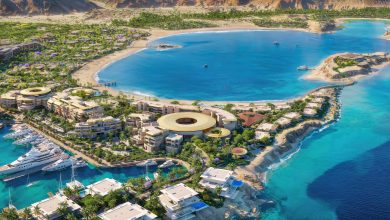 منتجع ناموس أمالا