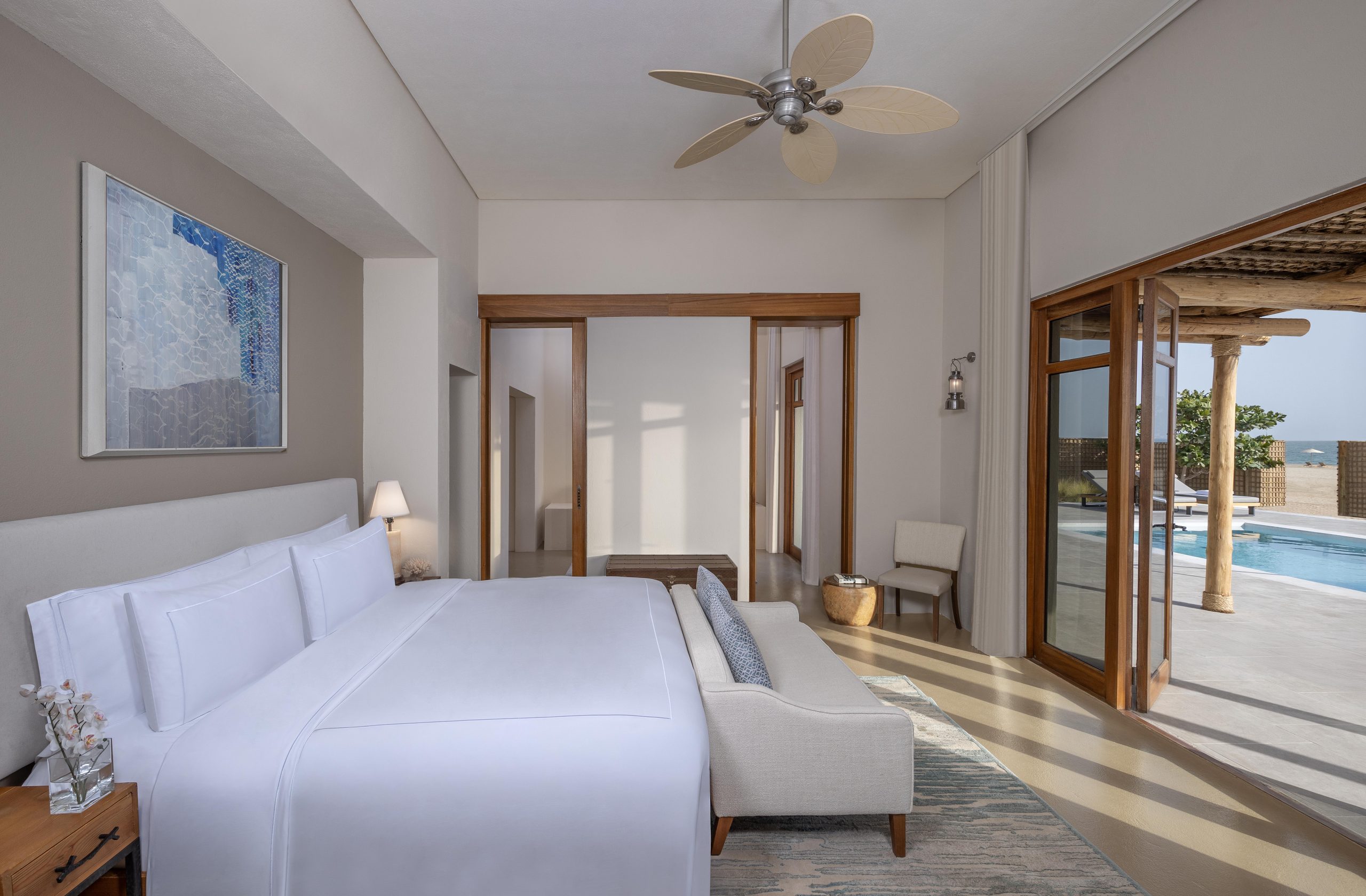 جزيرة صير بني ياس